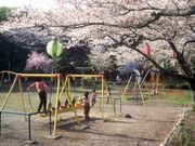 菊川公園の写真1