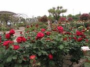 元浜公園の写真1