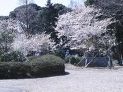 高通児童公園の写真1