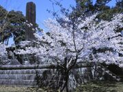 高通児童公園の写真2