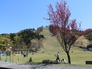 兵庫県立但馬牧場公園の写真4