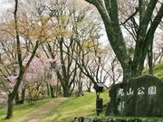 丸山公園の写真1