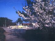 黒潮公園の写真1