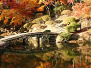 郡山公園の写真1