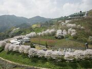 栗の里公園の写真2