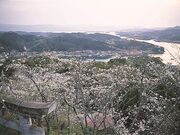 高尾山公園の写真1