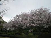 蟻尾山公園の写真2