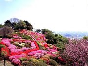 歌垣公園の写真1