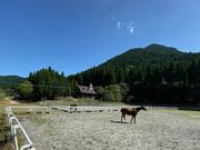 かわなべ馬事公苑の写真3