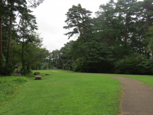 大堤キャンプ場