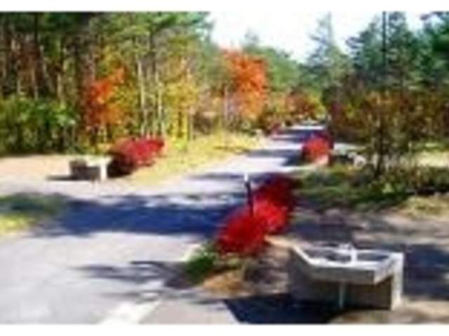 焼走りキャンプ場の写真1