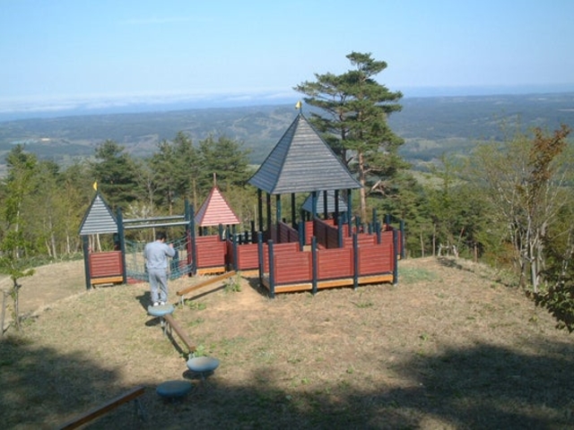 大和の丘森林公園