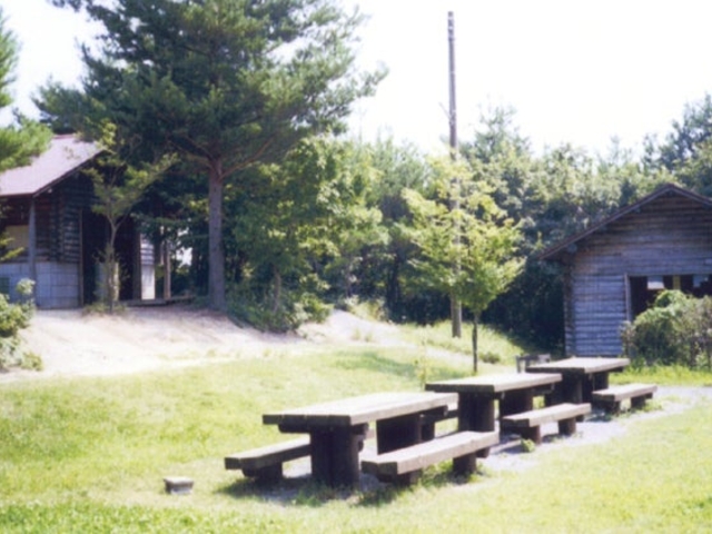 森林スポーツ公園キャンプ場の写真1