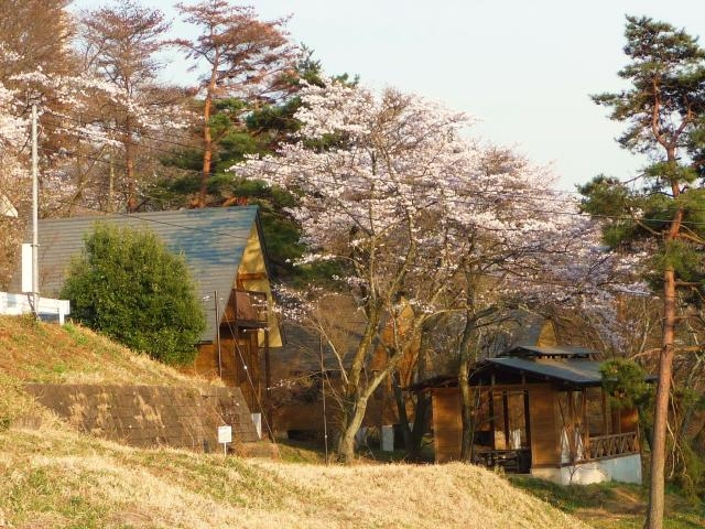 大平崎キャンプ場の写真1