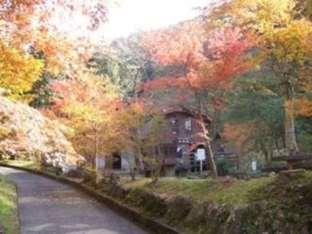 須津山休養林キャンプ場の写真1