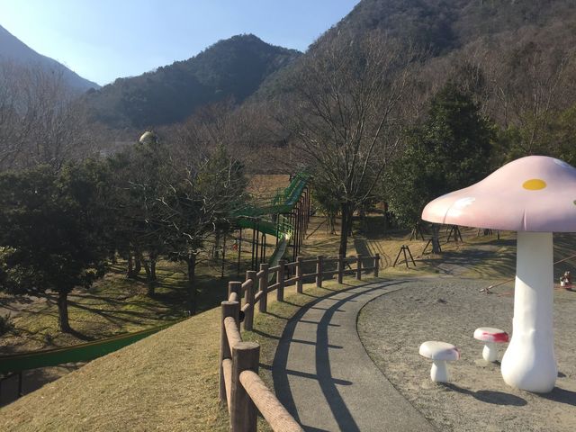 比良げんき村キャンプ場の写真2
