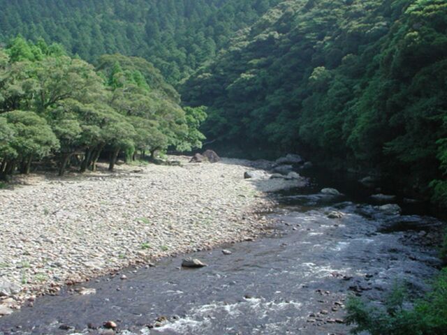 笹平自然公園の写真1