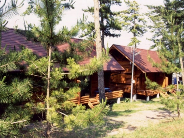 興津キャンプ場の写真1