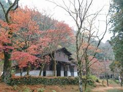 尾鈴キャンプ場の写真1