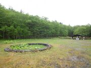 トムラウシ自然休養林野営場の写真2
