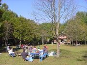 月見野森林公園キャンプ場の写真1