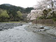 滝沢園キャンプ場の写真2