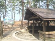 園家山キャンプ場の写真1