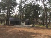 園家山キャンプ場の写真3