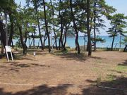 若狭和田キャンプ場の写真2