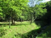 飛騨高山キャンプ場の写真2