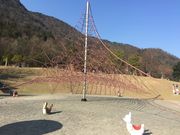比良げんき村キャンプ場の写真3