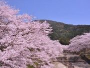 亀岡市七谷川野外活動センターの写真1