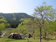 リフレッシュパーク市川の写真4