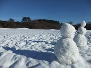 兵庫県立兎和野高原野外教育センターの写真3