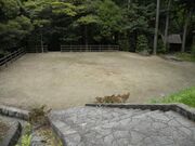 奥平谷キャンプ場の写真2