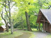 沢水キャンプ場の写真1