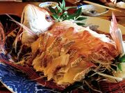 漁師料理 漁火の写真2