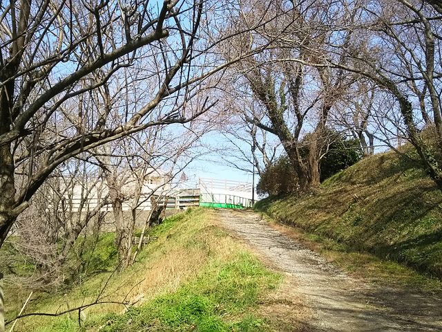 笹山公園