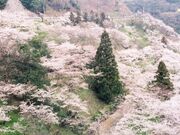 八木山展望公園の写真1