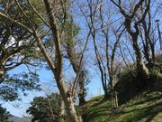 加布里公園の写真3