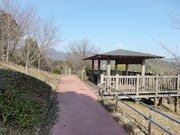 城山公園の写真3