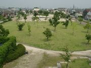 You・遊の森公園の写真1