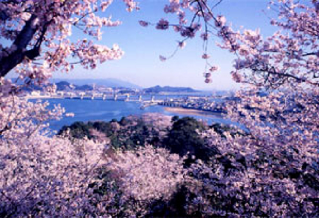 城山公園