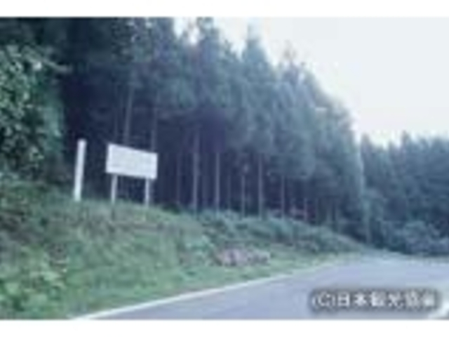 宮崎城跡の写真1