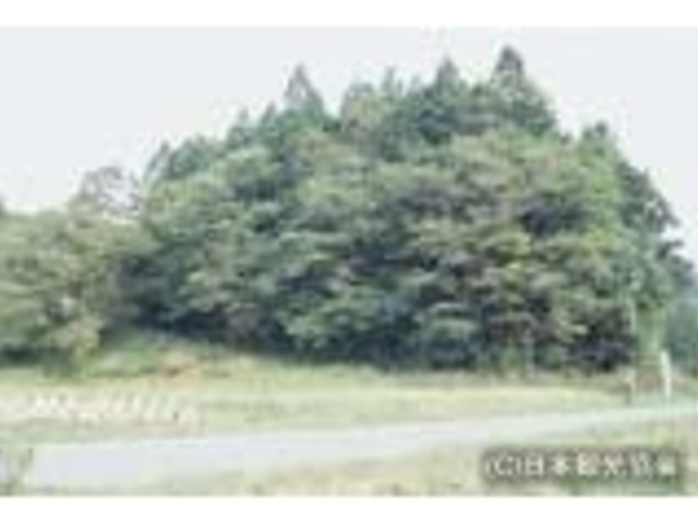 馬の足塚_馬の足塚