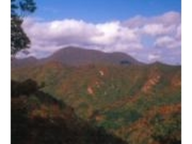 層雲峡の新緑・紅葉の写真1