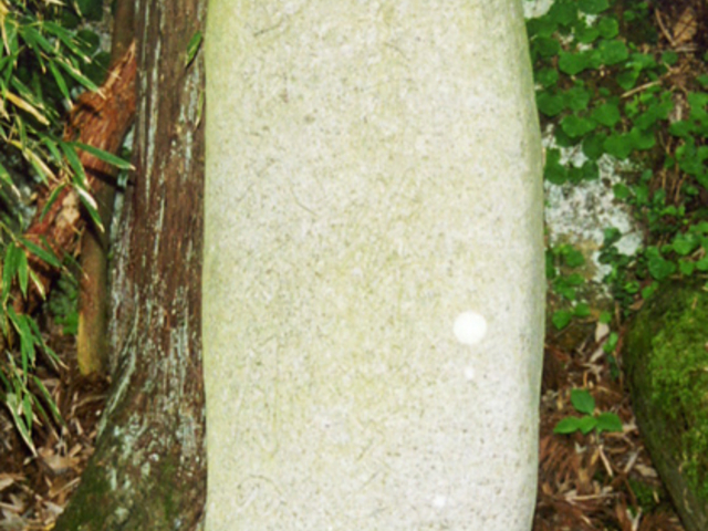芭蕉句碑 諏訪神社の写真1