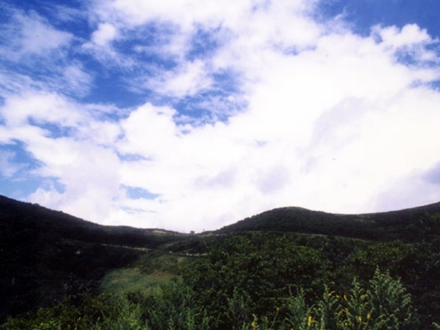 鳩峰高原の写真1