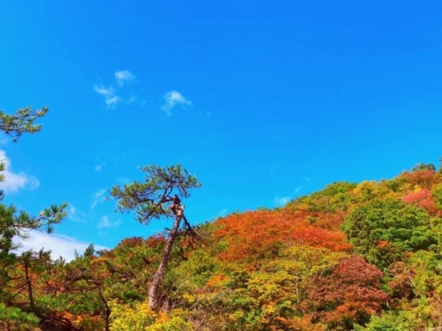 観音岩の紅葉の写真1