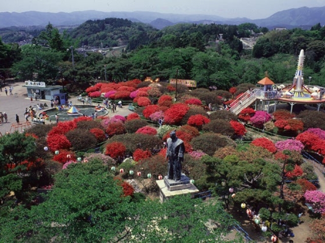 松ヶ岡公園のツツジ_松ヶ岡公園のツツジ